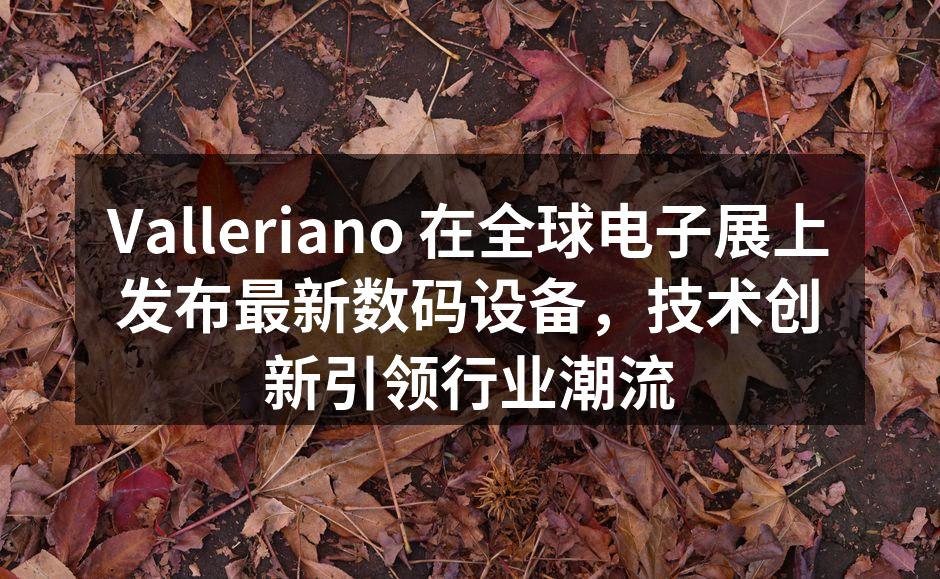 Valleriano 在全球电子展上的展台